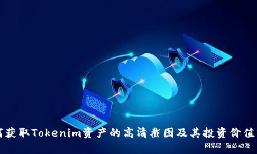 如何获取Tokenim资产的高清截图及其投资价值分析