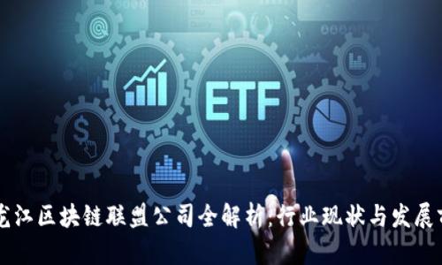 黑龙江区块链联盟公司全解析：行业现状与发展前景