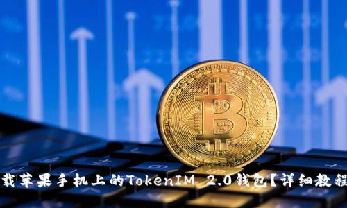 如何下载苹果手机上的TokenIM 2.0钱包？详细教程与指导