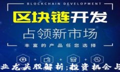 区块链行业龙头股解析：投资机会与市场展望