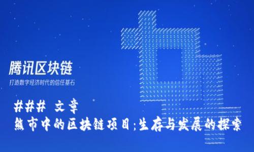### 文章
熊市中的区块链项目：生存与发展的探索