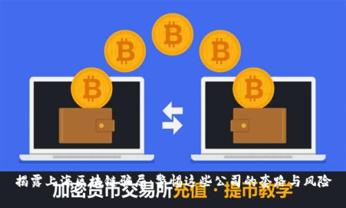 揭露上海区块链骗局：警惕这些公司的套路与风险
