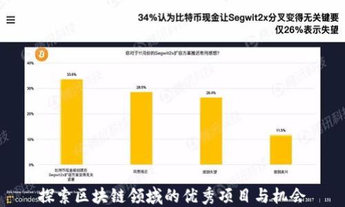 
探索区块链领域的优秀项目与机会