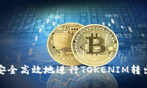 如何安全高效地进行TOKENIM转出操作