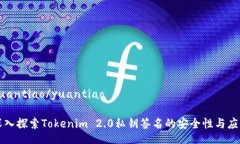 yuantiao/yuantiao深入探索Tokenim 2.0私钥签名的安全性