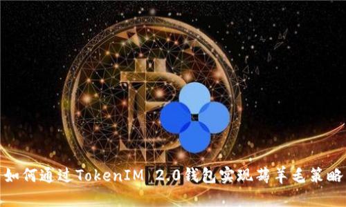 如何通过TokenIM 2.0钱包实现薅羊毛策略