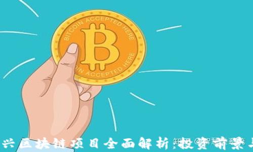 
2023年新兴区块链项目全面解析：投资前景与技术趋势