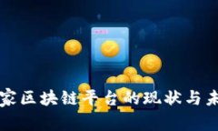 中国国家区块链平台的现状与未来发展