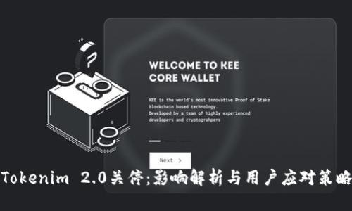Tokenim 2.0关停：影响解析与用户应对策略