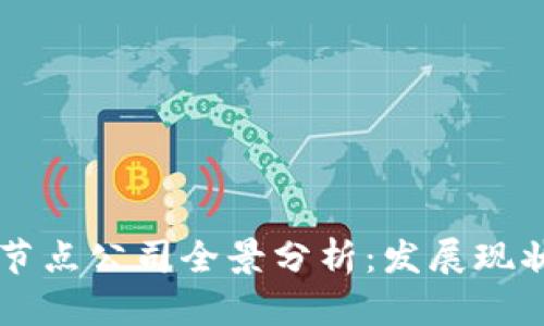 区块链国内节点公司全景分析：发展现状与前景展望