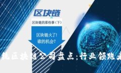 2023年正统区块链公司盘点：行业领跑者一网打尽