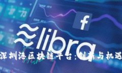 探索深圳港区块链平台：创新与机遇并存