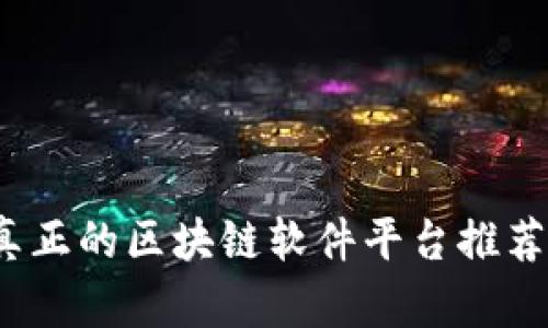 揭秘：真正的区块链软件平台推荐与应用
