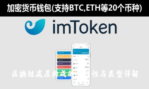 区块链底层构成的多样性与类型详解