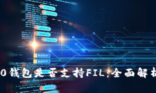Tokenim 2.0钱包是否支持FIL：全面解析与使用指南