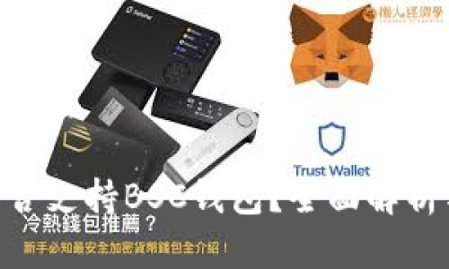 Tokenim是否支持BSC钱包？全面解析与使用指南