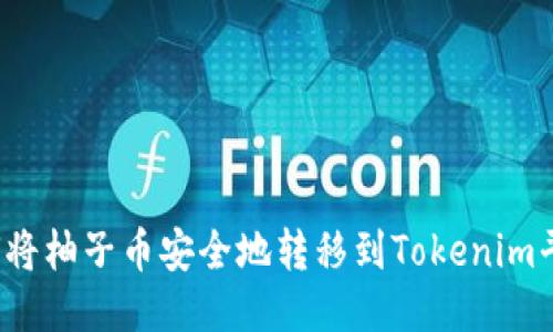 如何将柚子币安全地转移到Tokenim平台？