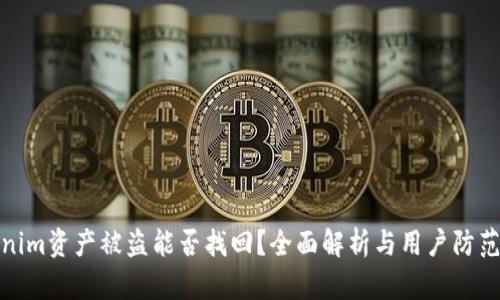 Tokenim资产被盗能否找回？全面解析与用户防范建议