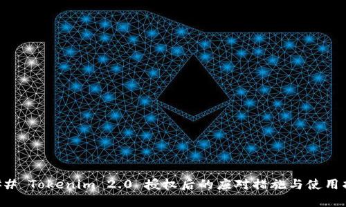 ### Tokenim 2.0 授权后的应对措施与使用指南