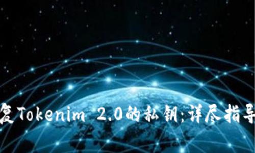 如何有效恢复Tokenim 2.0的私钥：详尽指导及注意事项