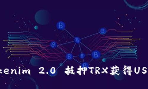 如何通过Tokenim 2.0 抵押TRX获得USDT：全面指南