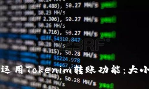 ### 灵活运用Tokenim转账功能：大小写规则解析