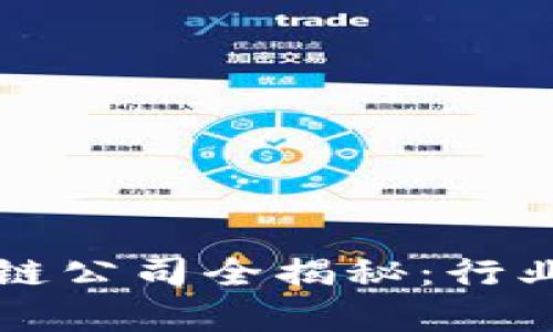 罗湖智能云区块链公司全揭秘：行业先锋与发展前景