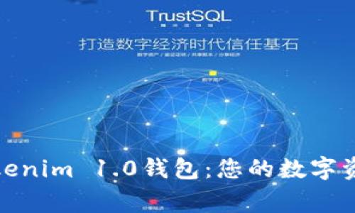 全面了解Tokenim 1.0钱包：您的数字资产安全管家
