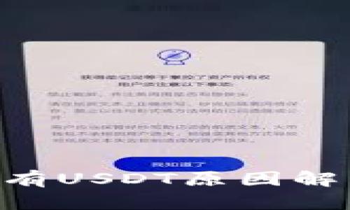 : Tokenim没有USDT原因解析与解决方案