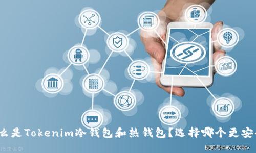 什么是Tokenim冷钱包和热钱包？选择哪个更安全？