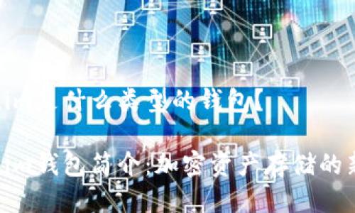 Tokenim是什么类型的钱包？

Tokenim钱包简介：加密资产存储的新选择