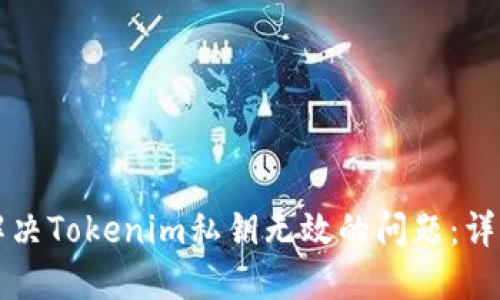如何解决Tokenim私钥无效的问题：详细指南
