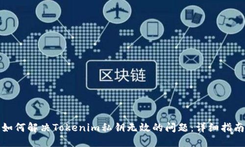 如何解决Tokenim私钥无效的问题：详细指南