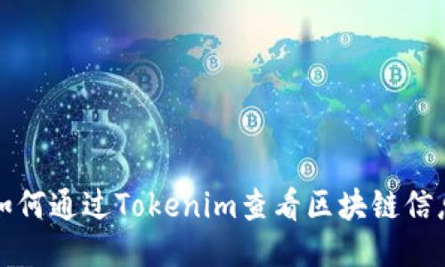 如何通过Tokenim查看区块链信息