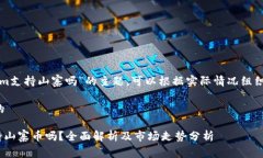 关于“tokenim支持山寨吗”的主题，可以根据实际