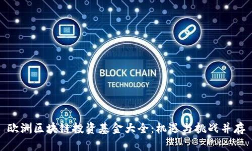 欧洲区块链投资基金大全：机遇与挑战并存