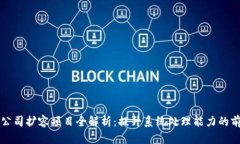 区块链公司扩容项目全解析：提升系统处理能力