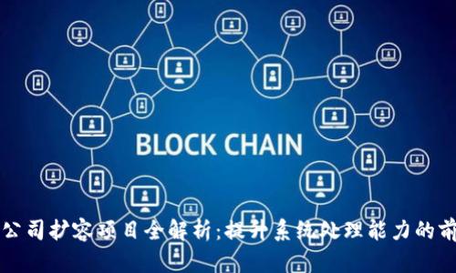 区块链公司扩容项目全解析：提升系统处理能力的前沿手段