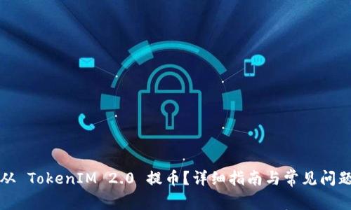 如何从 TokenIM 2.0 提币?详细指南与常见问题解答