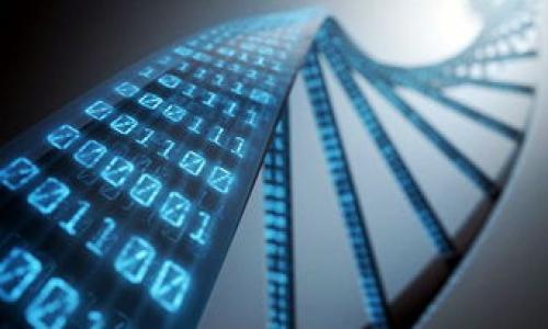 

```xml
区块链照片管理系统：如何选择最适合你的方案