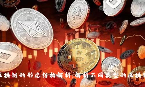 区块链的形态结构解析:解析不同类型的区块链