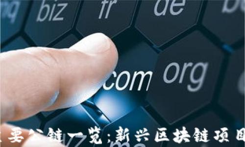 
2023年国内主要公链一览：新兴区块链项目及其应用前景