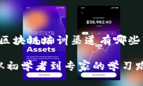 当然可以！以下是针对“区块链培训渠道有哪些”的、关键词和内容大纲。

揭秘区块链培训渠道：从初学者到专家的学习路径