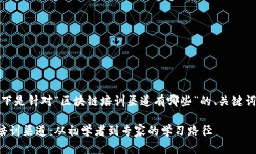 当然可以!以下是针对“区块链培训渠道有哪些”的、关键词和内容大纲。
揭秘区块链培训渠道:从初学者到专家的学习路径