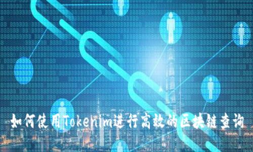 如何使用Tokenim进行高效的区块链查询
