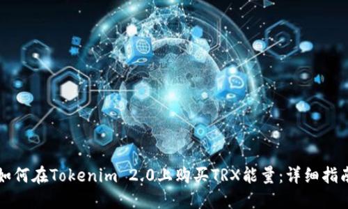 如何在Tokenim 2.0上购买TRX能量：详细指南