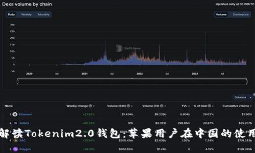 全面解读Tokenim2.0钱包：苹果用户在中国的使用指南