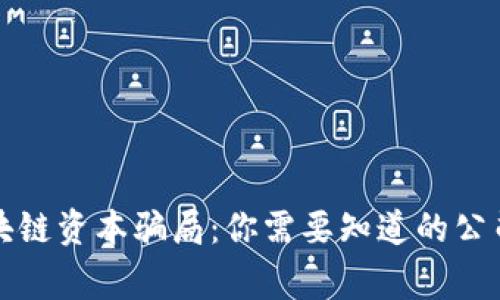 揭穿区块链资本骗局：你需要知道的公司与警示