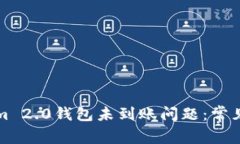 如何解决Tokenim 2.0钱包未到账问题：常见原因与解