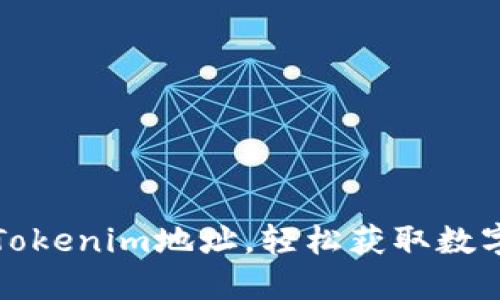 如何查看Tokenim地址，轻松获取数字资产信息